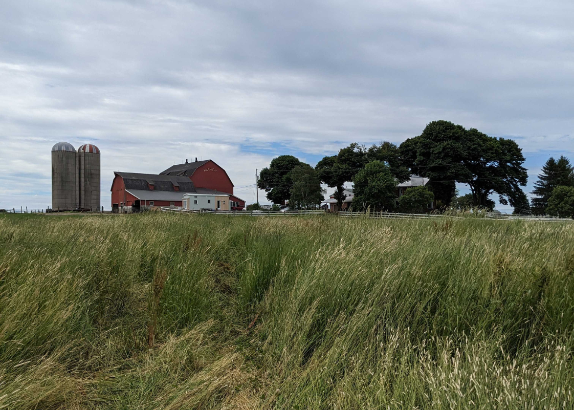 How to use your Solar Dollars to book a farm tour Rowe Farms Online